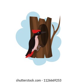 Woodpecker on a hollow tree, hollowed out old tree and cute bird vector Illustration on a white background