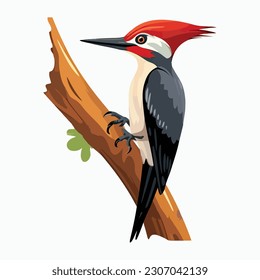Woodpecker on Tree Branch: Flat Vector Illustration of a Colorful Woodpecker Perched on a Branch