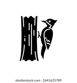 Woodpecker on Tree Trunk, Nature Wildlife Bird