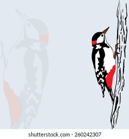 Woodpecker on tree, vector illustration