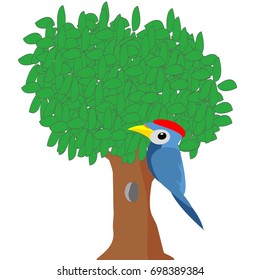 Woodpecker on a tree vector illustration