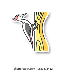 Parche Woodpecker. Ave común, habitante del bosque, criatura de los bosques voladores. Zoología, ornitología pegatina de color RGB imprimible. Pecker sentado en una ilustración aislada del vector de árbol