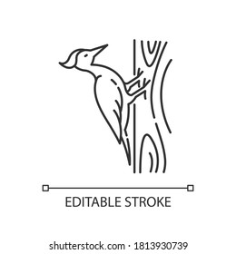Woodpecker pixel perfect linear icon. Zoology, ornithology thin line customizable illustration. Contour symbol. Pecker sitting on tree vector isolated outline drawing. Editable stroke