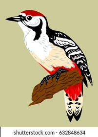 Woodpecker red hat  sitting branch