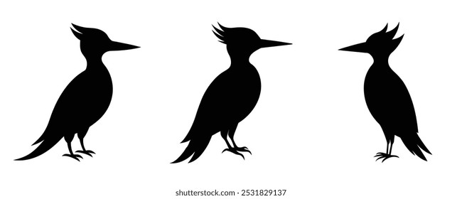 woodpecker silhouette set vector design