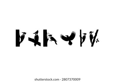 Woodpecker Silhouette Vector Collection Set