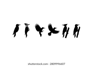 Woodpecker Silhouette Vector Collection Set