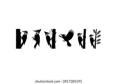 Woodpecker Silhouette Vector Collection Set