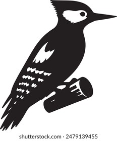 Woodpecker Silhouette Vector Illustration Image