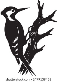 Woodpecker Silhouette Vector Illustration Image