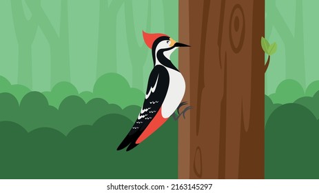 Woodpecker sits on a tree
