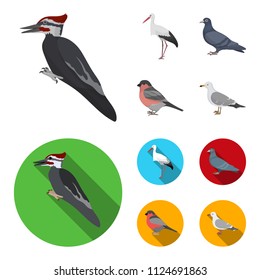 Woodpecker, stork and others. Birds set collection icons in cartoon,flat style vector symbol stock illustration web.