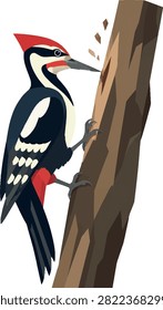 Woodpecker tapping tree trunk decorative vector illustration