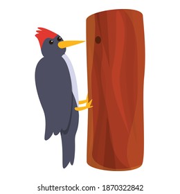 Woodpecker tree hole icon. Cartoon of woodpecker tree hole vector icon for web design isolated on white background