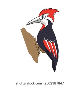 woodpecker vector design. cute bird vector 