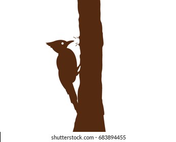 woodpecker vector drawing
