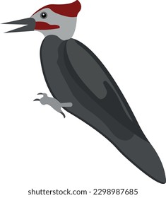 woodpecker Vector illustration on a transparent background. Premium quality symbols.  Icons for concept and graphic design.