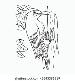 woodpecker vector illustrations. simple draw. color. outline