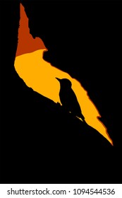 Woodpecker. Vector image. Black orange background. 