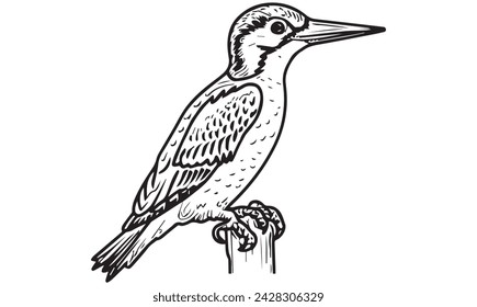 Woodpicker bird coloring page for kids