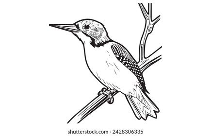 Woodpicker bird coloring page for kids