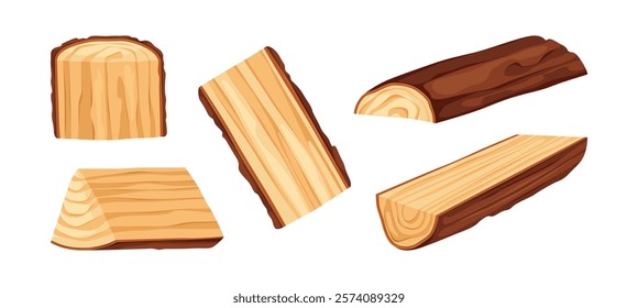 Woodworking and carpentry industry and materials for construction. Vector isolated tree log with bark cut in half. Natural oak for handmade or craft, woodwork boards, textured icons design