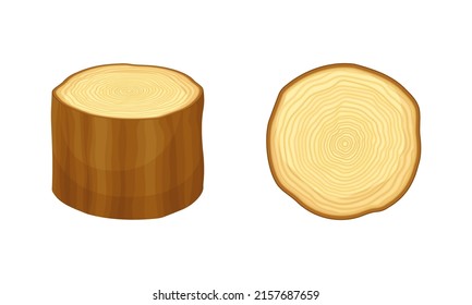 Woodworking industry materials. Saw cut tree trunk and stump cartoon vector illustration