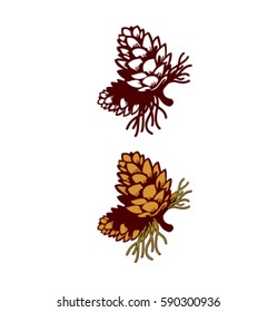 woody fruit of a pine tree
