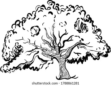 Set Vector Trees Leaves Stock Vector (Royalty Free) 157561229