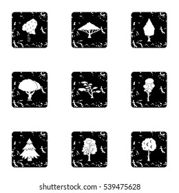 Woody plants icons set. Grunge illustration of 9 woody plants vector icons for web