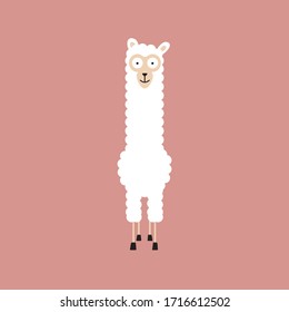 Woolful Alpaca stares at you like a crazy one :)
