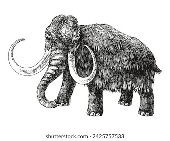 Woolly mammoth extinct animal sketch