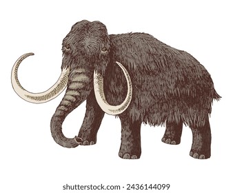 Boceto animal extinto de mamut lanudo