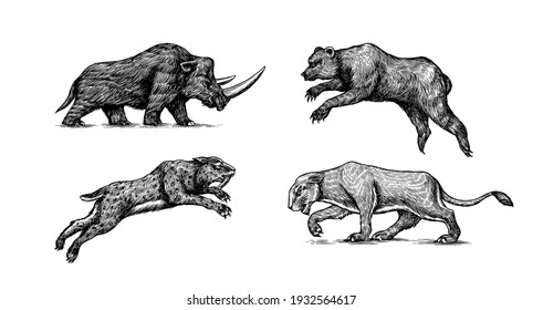 Woolly rhinoceros Cave bear and lion. Panthera Saber toothed tiger. Vintage animal. Retro Mammals. Hand drawn engraved sketch.