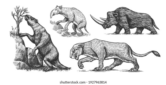 León de la cueva de rinocerontes Wooly. Pereza terrestre, Megatheriidae. Palorquestes o marsupiales de la familia Palorchestidae. Animales de extinción ventilado. Mamíferos retro. Esbozo grabado a mano.