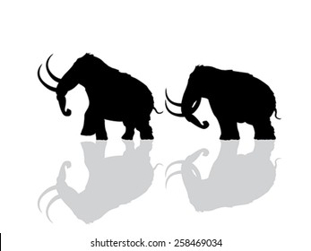 Wooly Mammoth Silhouettes Over White Background