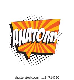 word anatomy in colorful retro comic speech bubble with halftone dotted shadow on white background