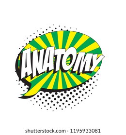 word anatomy in colorful retro comic speech bubble with halftone dotted shadow on white background