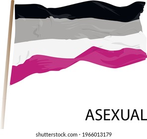 The word Asexual. Vector banner. An Asexual flag being waved. LGBTQ symbol on white background .