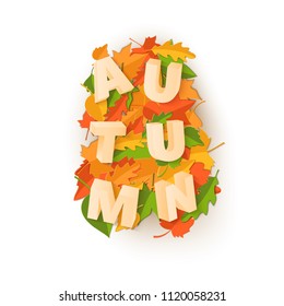 Word AUTUMN composition with green yellow red leaves on white background in paper cut style. Fall craft leaf 3d realistic letters for design poster, banner, flyer T-shirt printing. Vector illustration