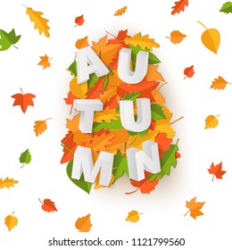 Word AUTUMN composition with green yellow red leaves on white background in paper cut style. Fall leaf 3d realistic letters for design poster, banner, flyer T-shirt printing, Vector card illustration