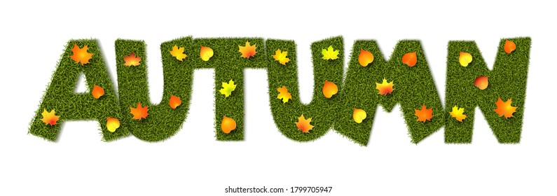 The word Autumn with grass texture and autumn yellow and red maple and linden leaves from paper. Illustration for the holiday Back to school. Realistic 3D style on a white background. Vector.