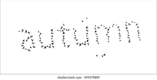 the word "autumn" shaped silhouettes birds on white background isolated vector image