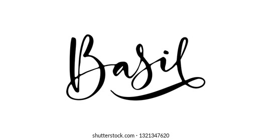 Word 'Basil' written in modern calligraphy style with flourish. Nice, elegant, isolated trace on white background. Perfect for menu, package, spice boxes, tags, labels.