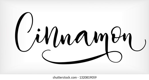 Word 'Cinnamon' written in modern calligraphy style with flourish. Nice, elegant, isolated trace on white background. Perfect for menu, package, spice boxes, tags, labels.