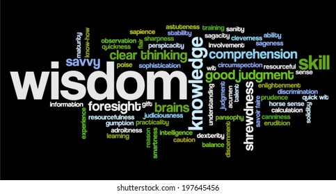 Word cloud containing terms related to wisdom, cleverness, intelligence, reason, shrewdness, skills, talent, wit, resourcefulness, foresight and knowledge.