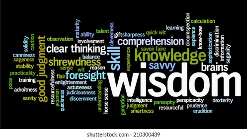 Word cloud containing terms related to wisdom, cleverness, intelligence, reason, shrewdness, skills, talent, wit, resourcefulness, foresight and knowledge.