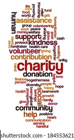 Word cloud containing words related to charity, assistance, health care, kindness, human features, positivity, volunteering, donations, help and similar
