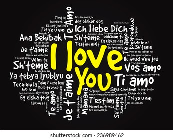 Word cloud "I Love You" in different languages, valentine vector illustration