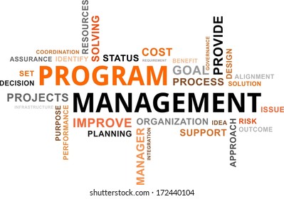 A Word Cloud Of Program Management Related Items